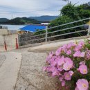 화태민박 이미지