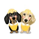 다온멍스쿨 이미지