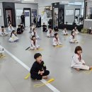 타이거킥스 태권도장 이미지