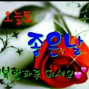 하루의 행복 이미지