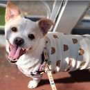 라뽀동물병원 이미지