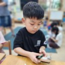 ＜원어민과학＞ Mouse Race 이미지