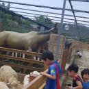 월드키즈태권도장 이미지