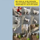 멍그니엘 애견호텔 서울강동점 이미지