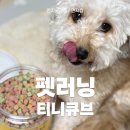 펫큐브 | 강아지노즈워크간식 펫더맨 펫러닝 티니큐브 급여후기!