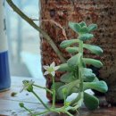 손두부촌식당 이미지