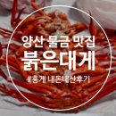 영남밀면&붉은대게