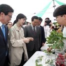 유담