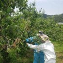 백광농장 이미지