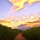 2018~07~03(안성천) 석양 , 구름과 함게~~(니콘24~70mm )~~~ 이미지