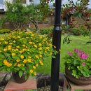 담담스테이 이미지