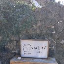 예술로 여는 서귀포의 봄<지드림_春(춘)夏(하)秋(추)冬(동)> | 서귀포 남원 카페 내노키카페 제주여행 필수 서귀포 수제 푸딩 카페