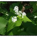 다산행정사사무소 이미지