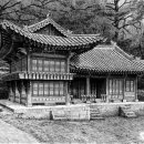 고관