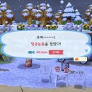 [신규]손뜨개 이미지