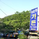 팽나무 민박 이미지