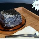 봄날의 댕댕이 | 댕댕이랑 같이 떠난 설레는 전주 나들이!