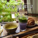 도시농가코페 | 서면 카페 도시농가코페도코 대나무 정원이 예쁜 카페