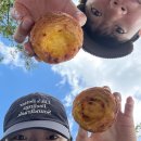 햇살좋은아침 | 햇살좋은 아침 (해미루 만두전골,캐제커피 에그타르트, 청라호수공원, 산쪼매라멘집)