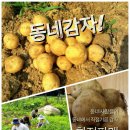 동녘농장 이미지