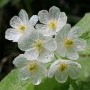 남지경로당 이미지