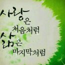 서울기독대학교 평생교육원 장례지도사교육원 Daum카페
