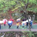 연암초등학교 이미지