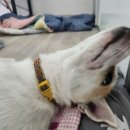 이지힐메딕스 네이버블로그