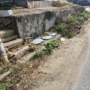 그린파크장 | 어드레스가 어려운 파크골프 초보에 파크골프 후기