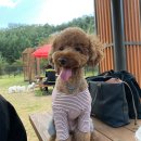 반작 작업실 이미지