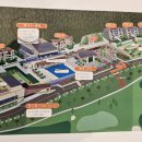 세이지우드 홍천산양목장 이미지