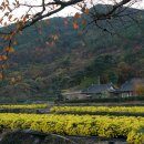 의신슈퍼 이미지