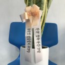 파란파도미술교습소 네이버블로그
