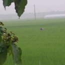 복동농장 이미지