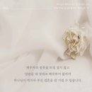 2022-주175 네이버블로그