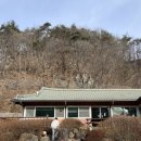 청기와민박 | 강원도여행 : 인제 원대리 속삭이는 자작나무 숲길, 청기와맛집