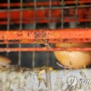 지현농장 이미지