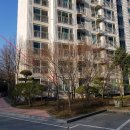 죽전하나약국 이미지