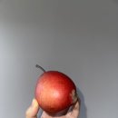 댕글벙글 이미지