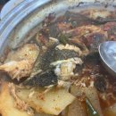 솔미신쭈꾸미 이미지