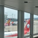 사천항공(쓰촨항공) 인천-청두 왕복 이용 후기 🇨🇳✈️ / 기내식, 음료 등 (25년 6월)