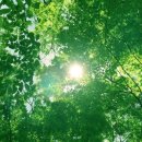 노래가전부다 이미지