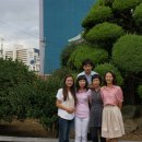 정민당구장 이미지