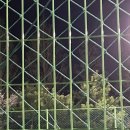 데미옆골 이미지