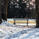 KS국제 행정사사무소 이미지