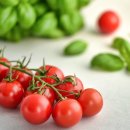 시지아이숲유치원 이미지