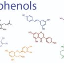 비경휘트니스 이미지
