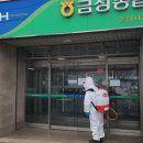 금성농협춘산지점 이미지