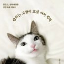 (주)씨노트 이미지