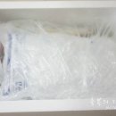 푸디아미